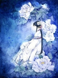 美人宜修